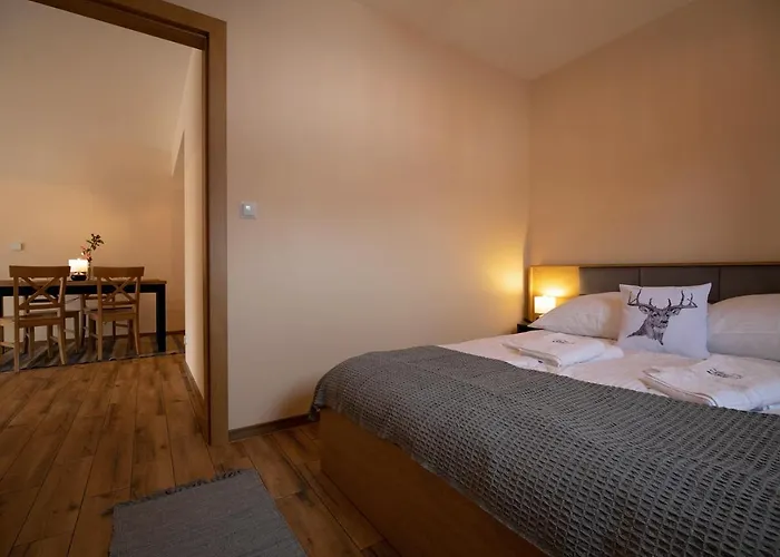 Apartament Osada Wróblonki - *